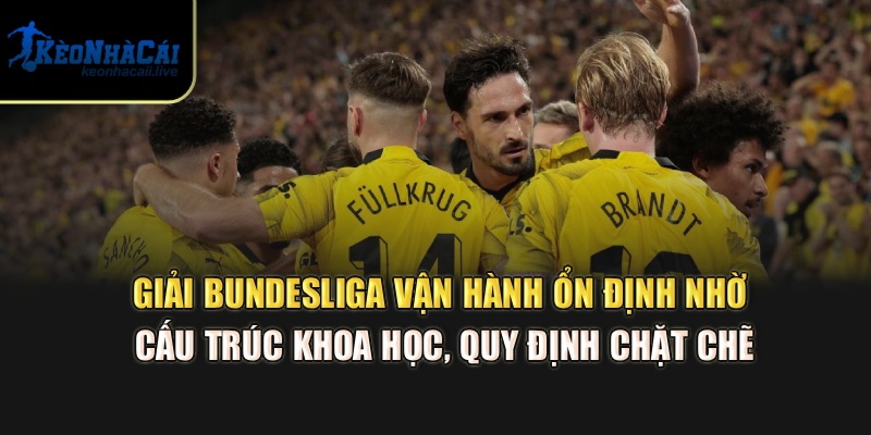 Giải Bundesliga vận hành ổn định nhờ cấu trúc khoa học, quy định chặt chẽ