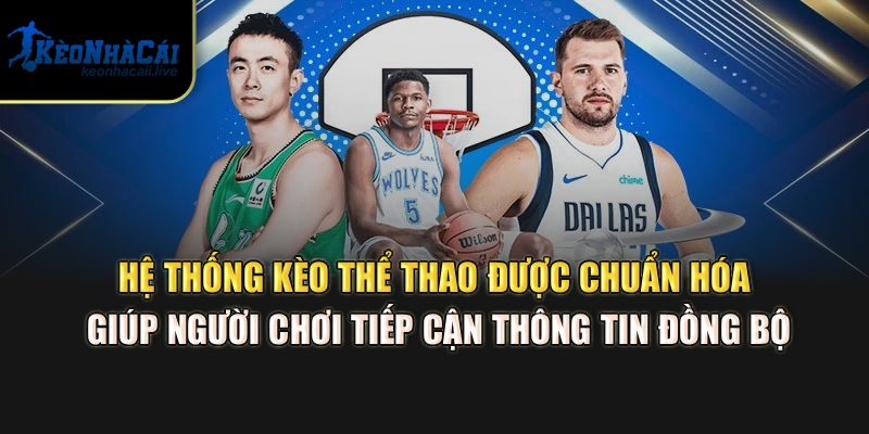 Hệ thống kèo thể thao được chuẩn hóa giúp người chơi tiếp cận thông tin đồng bộ