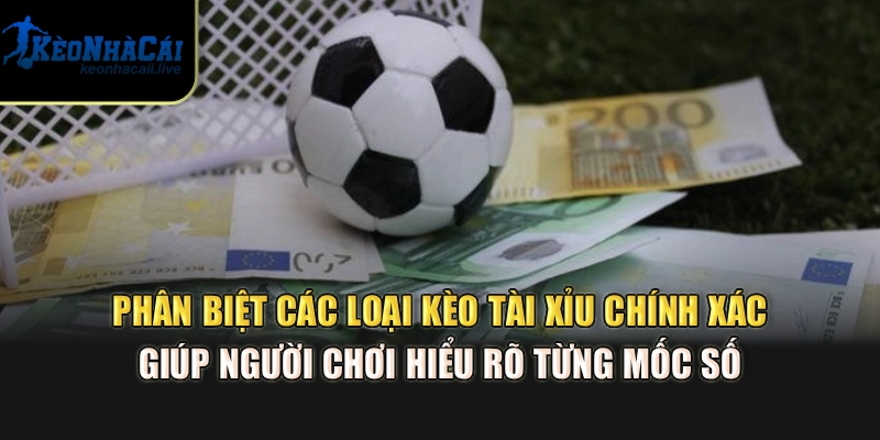 Phân Biệt Các Loại Kèo Tài Xỉu - Hướng Dẫn Tại Kèo Nhà Cái Phân biệt các loại kèo tài xỉu chính xác giúp người chơi hiểu rõ từng mốc số