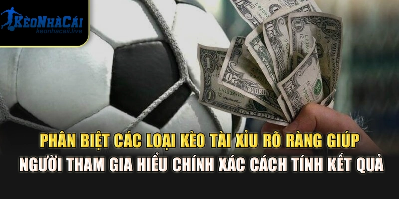 Phân Biệt Các Loại Kèo Tài Xỉu - Hướng Dẫn Tại Kèo Nhà Cái Phân biệt các loại kèo tài xỉu rõ ràng giúp người tham gia hiểu chính xác cách tính kết quả