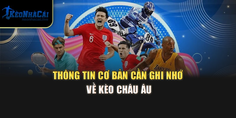 Cách Soi Kèo Châu Âu Chơi Khéo Để Về Bờ Nhanh Từ Kèo Nhà Cái Thông tin cơ bản cần ghi nhớ về kèo châu Âu