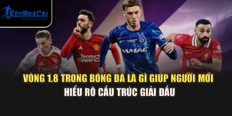 Vòng 1.8 trong bóng đá là gì giúp người mới hiểu rõ cấu trúc giải đấu