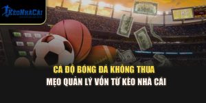 Cá Độ Bóng Đá Không Thua - Mẹo Quản Lý Vốn Từ Kèo Nhà Cái