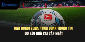 Giải Bundesliga: Tổng Quan Thông Tin Do Kèo Nhà Cái Cập Nhật