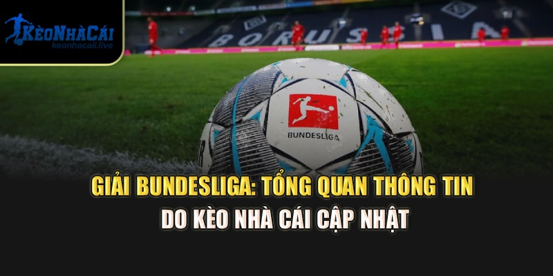 Giải Bundesliga: Tổng Quan Thông Tin Do Kèo Nhà Cái Cập Nhật