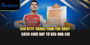 Kèo BTTF Thắng Thua Thế Nào? Cách Chơi Hay Từ Kèo Nhà Cái