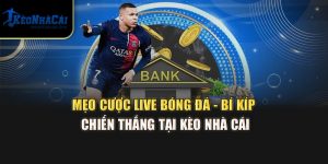 Mẹo Cược Live Bóng Đá - Bí Kíp Chiến Thắng Tại Kèo Nhà Cái