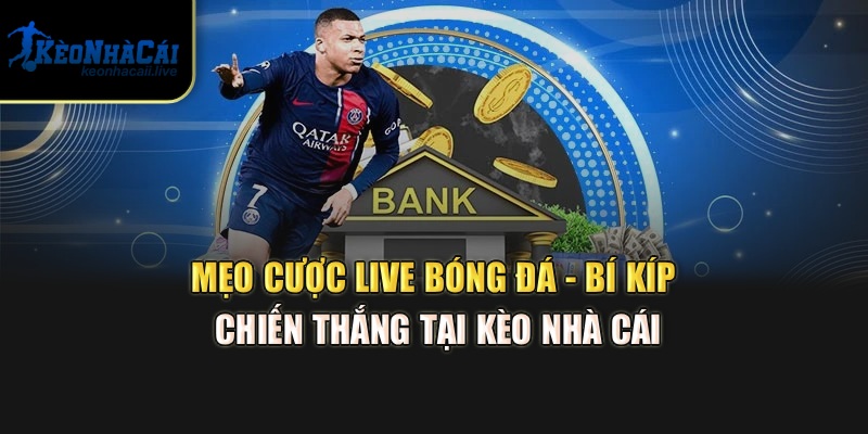 Mẹo Cược Live Bóng Đá - Bí Kíp Chiến Thắng Tại Kèo Nhà Cái Mẹo Cược Live Bóng Đá - Bí Kíp Chiến Thắng Tại Kèo Nhà Cái