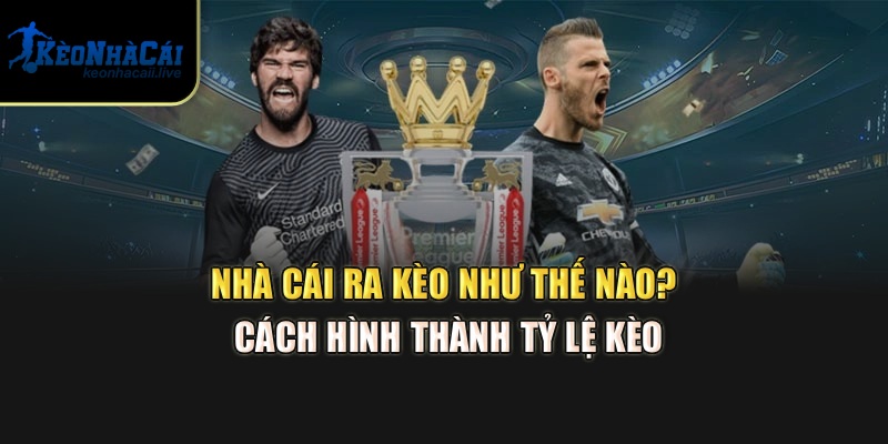 Nhà Cái Ra Kèo Như Thế Nào? Kèo Nhà Cái Bật Mí Cách Hình Thành