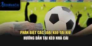 Phân Biệt Các Loại Kèo Tài Xỉu - Hướng Dẫn Tại Kèo Nhà Cái