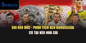 Soi Kèo Đức - Phân Tích Kèo Bundesliga Có Tại Kèo Nhà Cái